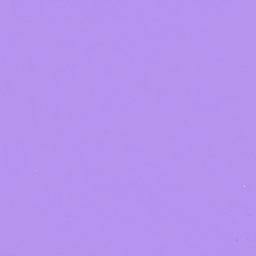 Toile de Fond Photo de Graduation Professionnelle Mauve Pâle Lisse GQ4-211
