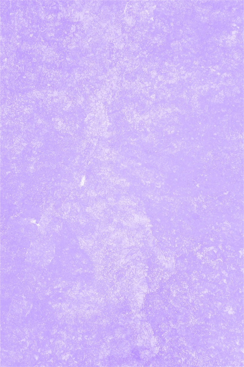 Toile de Fond Photo de Tête Professionnelle Texture Violette Mate GQ4-212