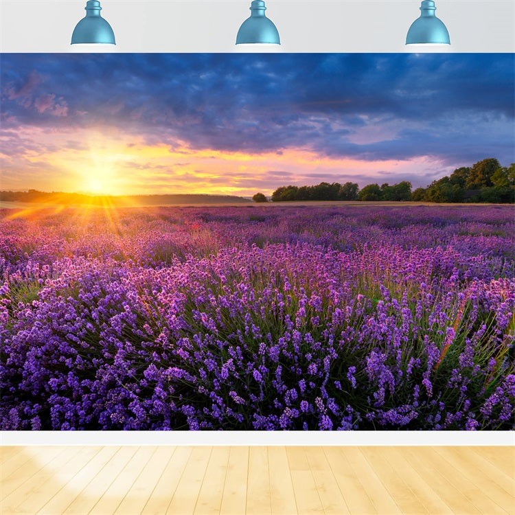 Toile de fond Lavande Crépuscule Prairie Violette GQ4-24