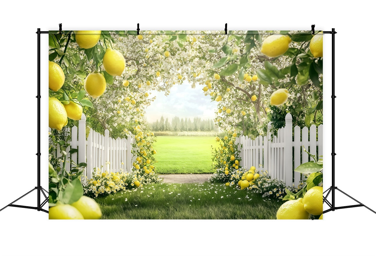 Toile de fond Été Arbre en Fleurs Sentier d'Été GQ4-265