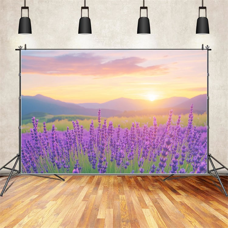 Toile de fond Fleurs Violettes Champ Lavande Coucher Soleil Photographie GQ4-27