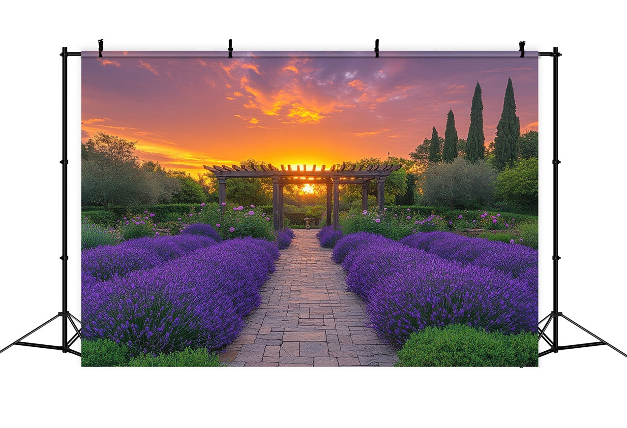 Toile de fond Florale Violette Arche Lavande Coucher Soleil Photographie GQ4-28