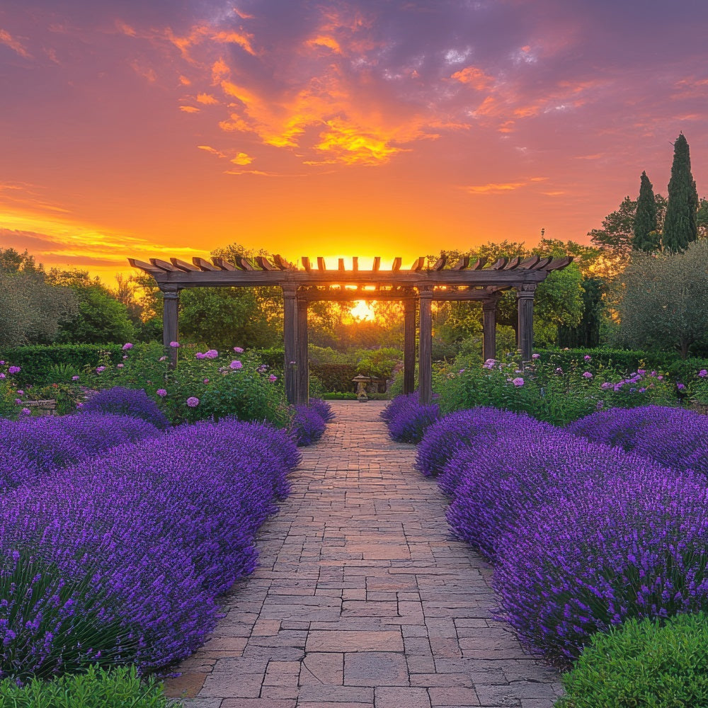 Toile de fond Florale Violette Arche Lavande Coucher Soleil Photographie GQ4-28