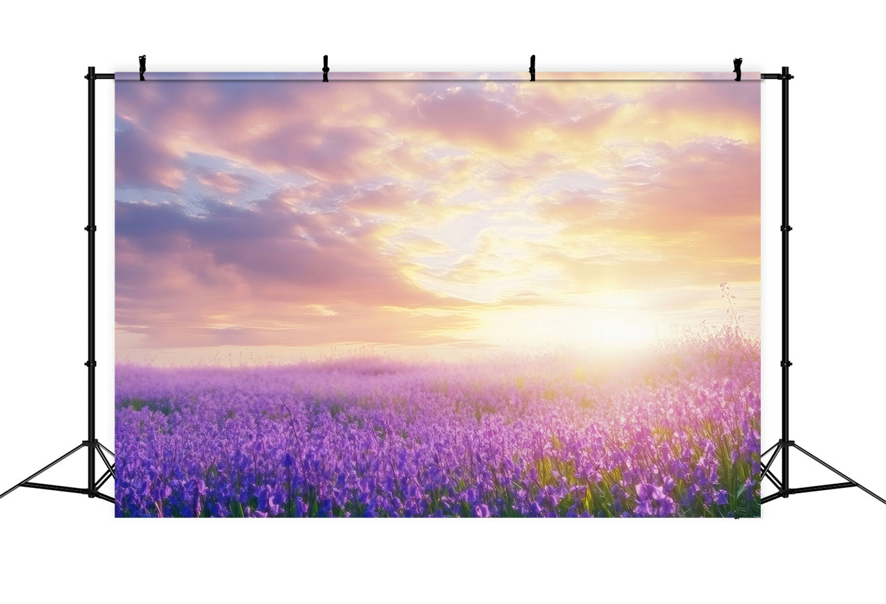 Toile de fond Lavande Paysage Rêvé Lever Soleil Photographie GQ4-31