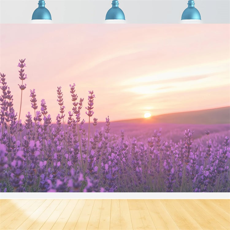 Toile de fond Lavande Coucher Soleil Champ Floral Photographie GQ4-32