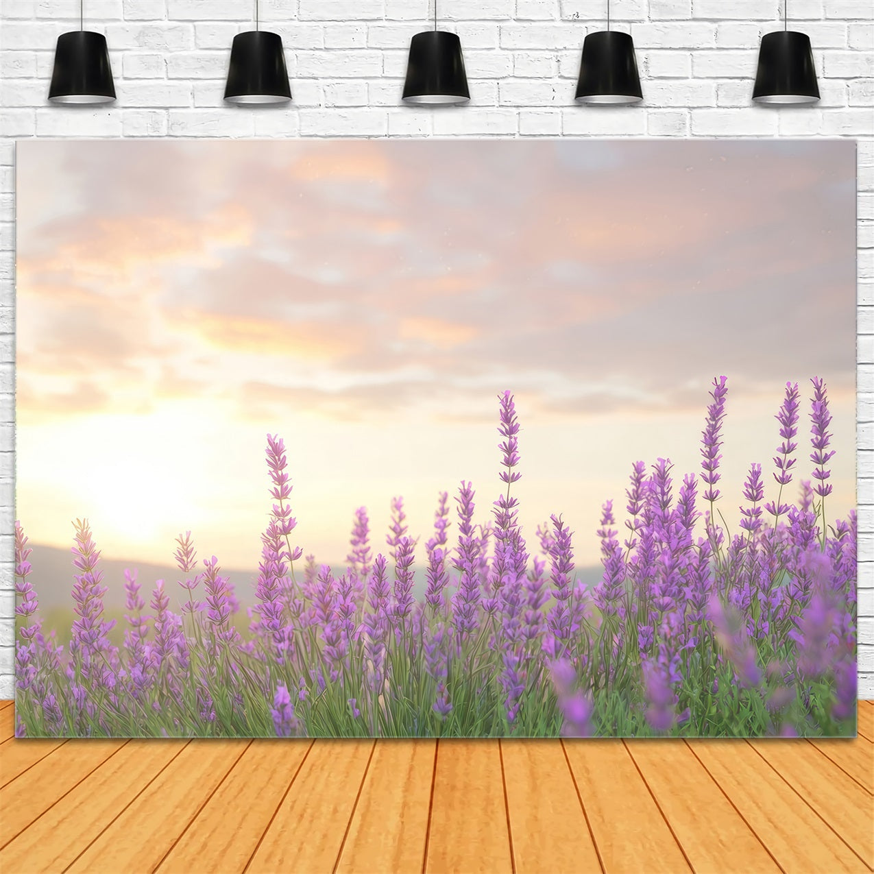 Toile de fond Lavande Lueur Chaleureuse Fleurs Violettes GQ4-33