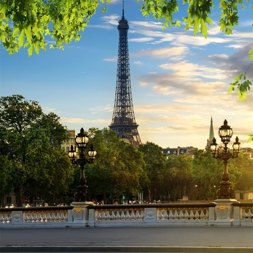 Toile de fond Tour Eiffel Paris Ciel Bleu Feuilles Vertes GQ4-35