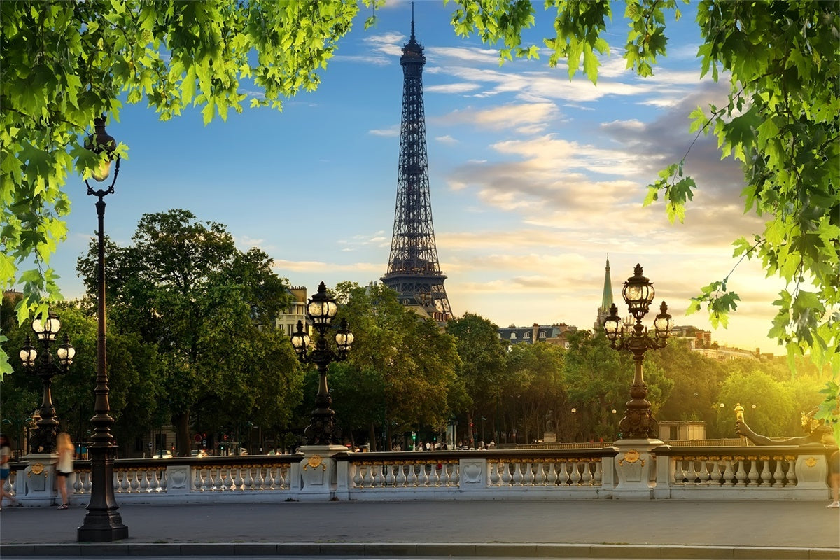 Toile de fond Tour Eiffel Paris Ciel Bleu Feuilles Vertes GQ4-35