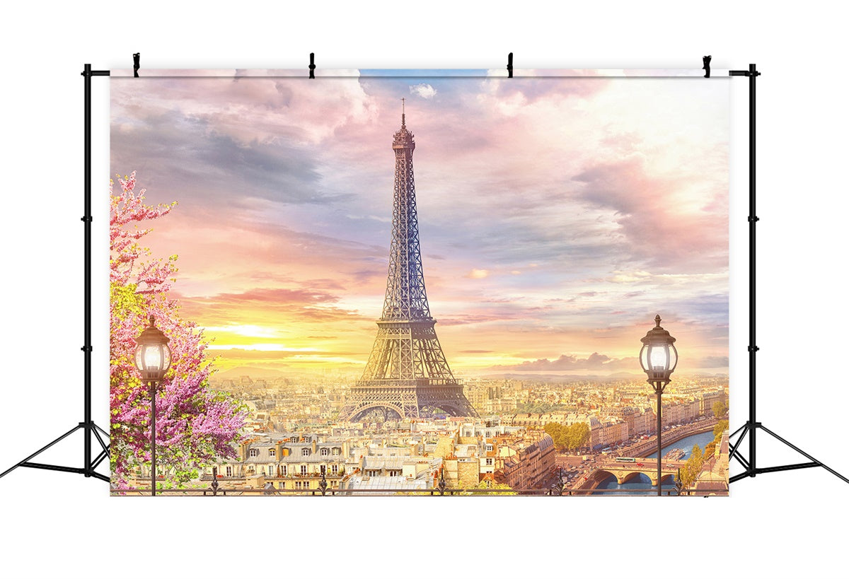 Toile de fond Photo Paris Panorama Charmant Vue Parisienne GQ4-54