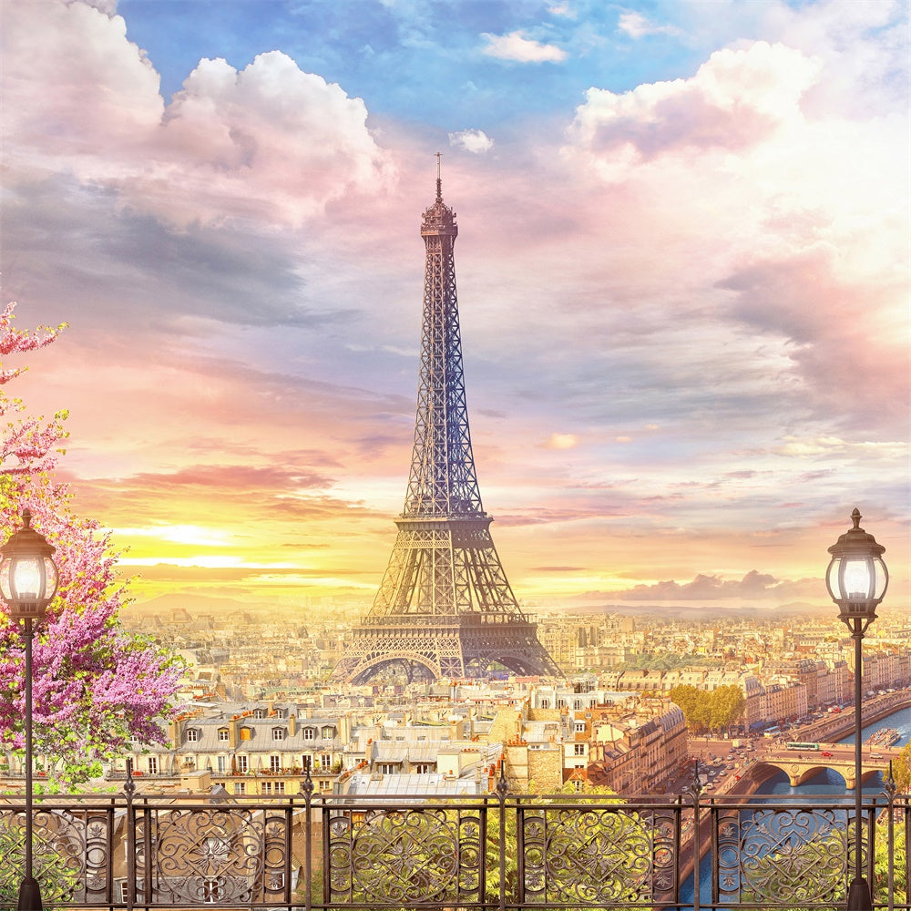 Toile de fond Photo Paris Panorama Charmant Vue Parisienne GQ4-54