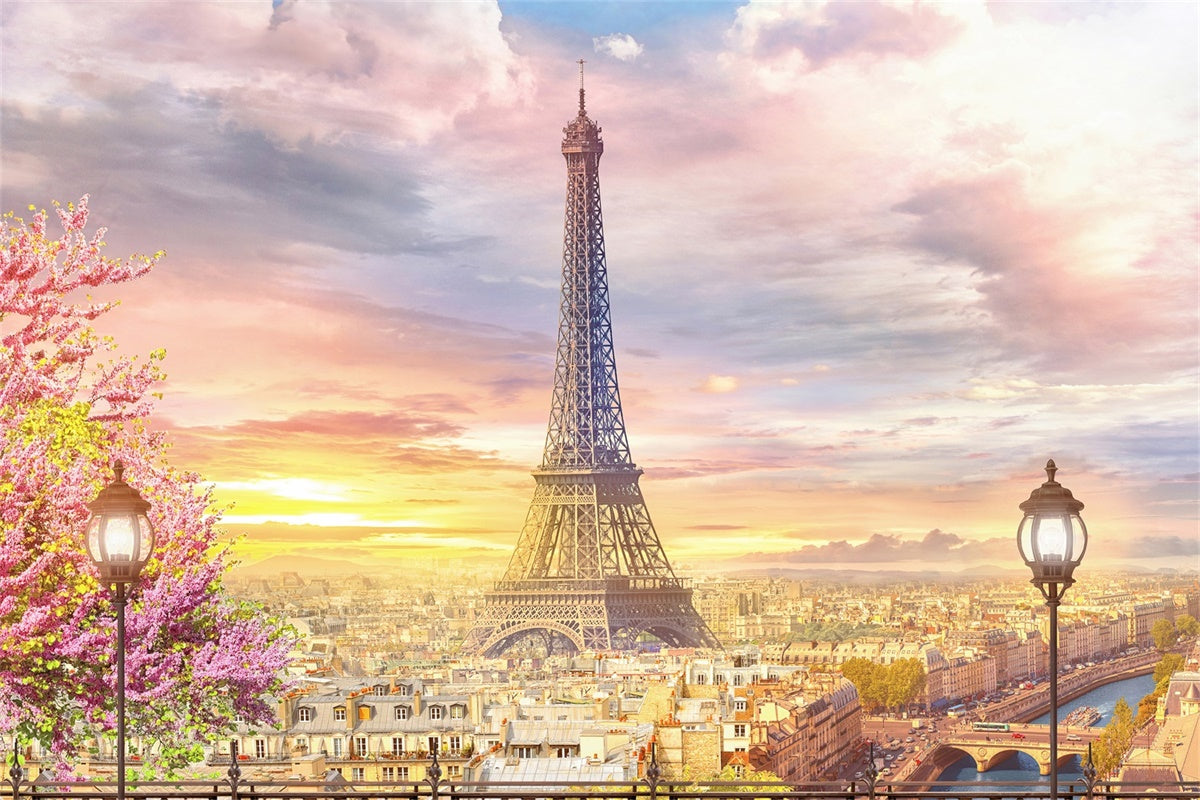 Toile de fond Photo Paris Panorama Charmant Vue Parisienne GQ4-54