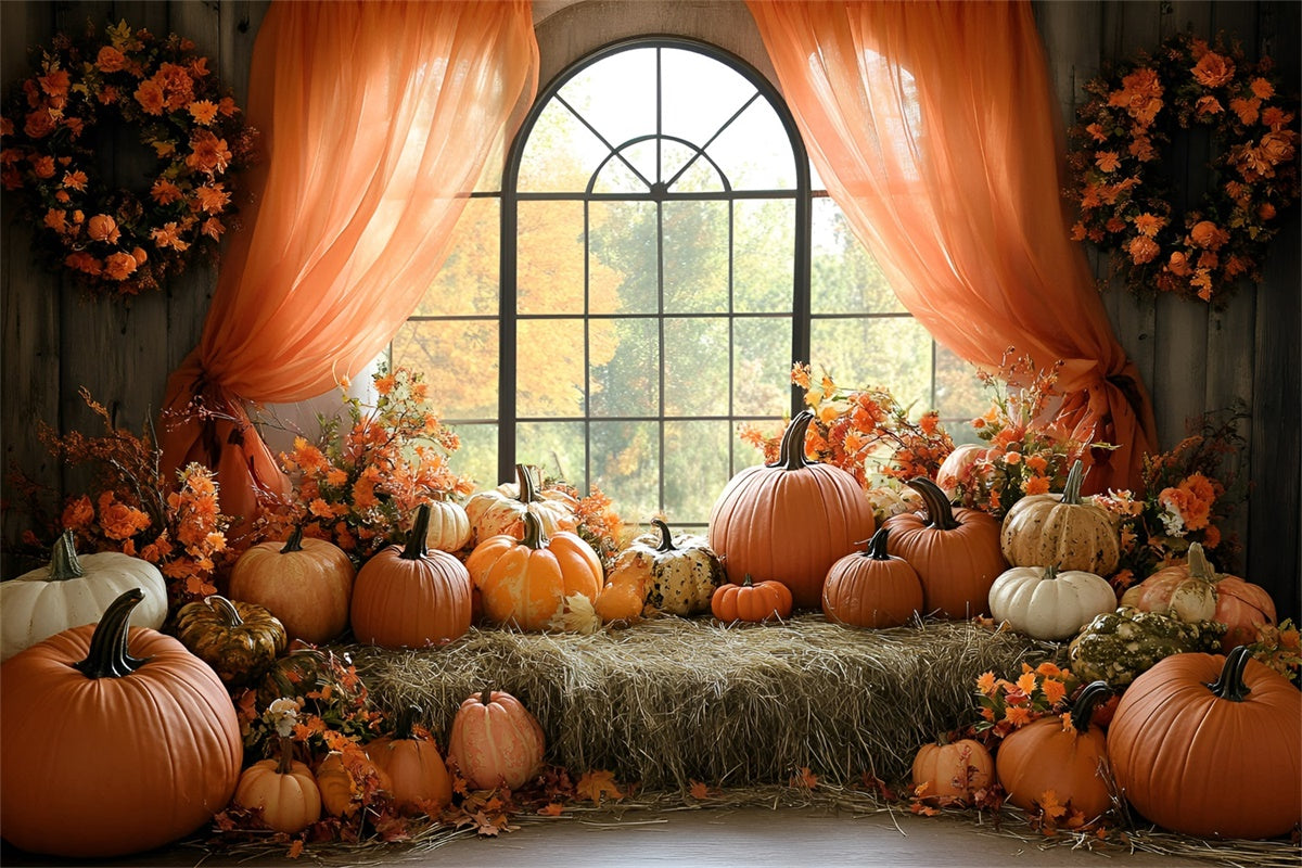 Toile de fond Photo Automne Fenêtre Récolte Citrouille GQ57-110