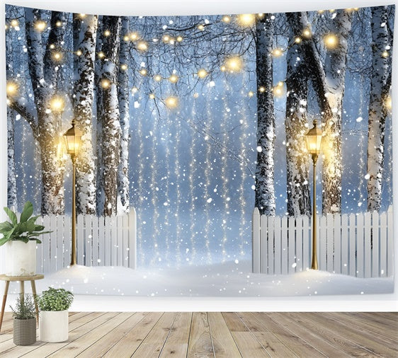 Toile de fond Hiver Sentier Bouleau Lanterne GQ57-150