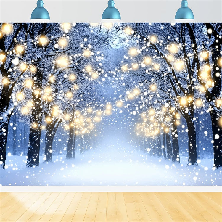 Toile de fond Hiver Balade Forêt Lumineuse GQ57-151
