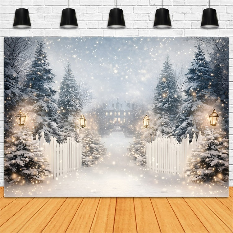 Toile de fond Hiver Sentier de Neige Lanterne GQ57-152