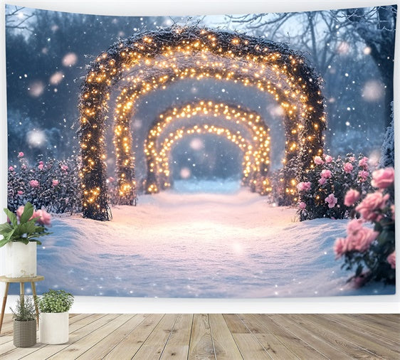 Toile de fond Hiver Sentier Rose Étincelant GQ57-171