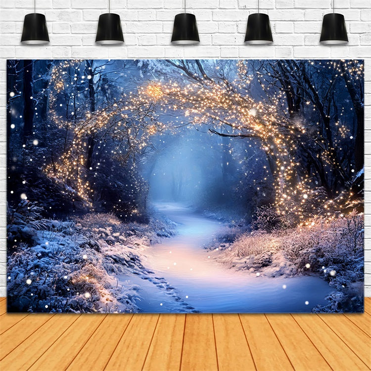 Toile de fond Hiver Sentier Guirlandes Féerique GQ57-174
