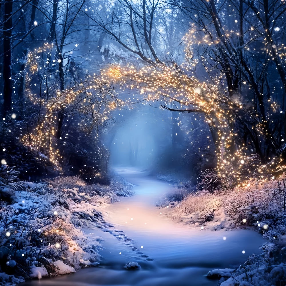 Toile de fond Hiver Sentier Guirlandes Féerique GQ57-174