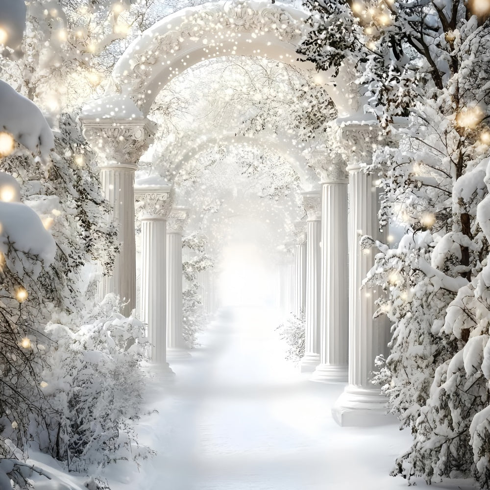 Toile de fond Hiver Arche Royale Corridor Neigeux GQ57-177