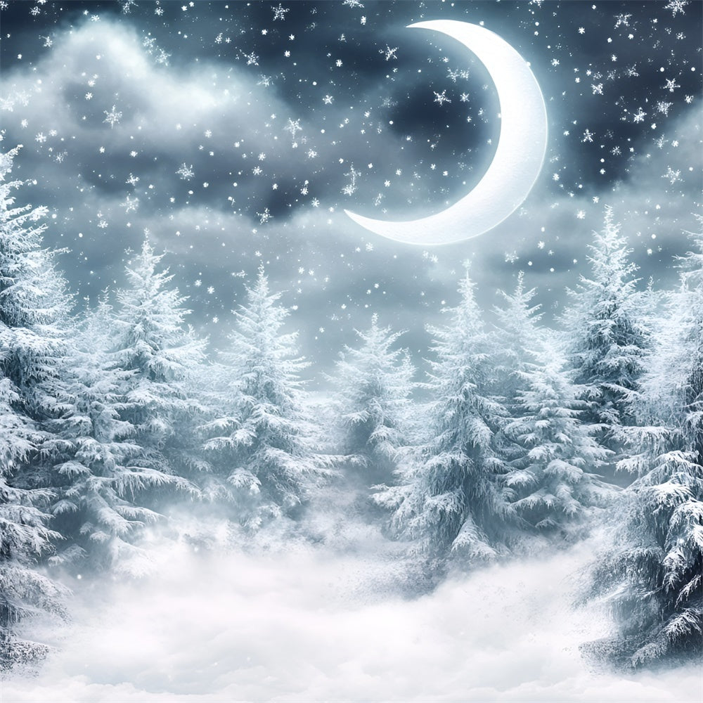 Toile de fond Photo Forêt Hiver Croissant Nuit Neige GQ57-67