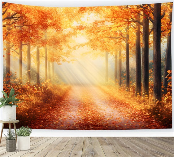 Toile de fond Photo Forêt Automne Lueur Radieuse GQ57-69