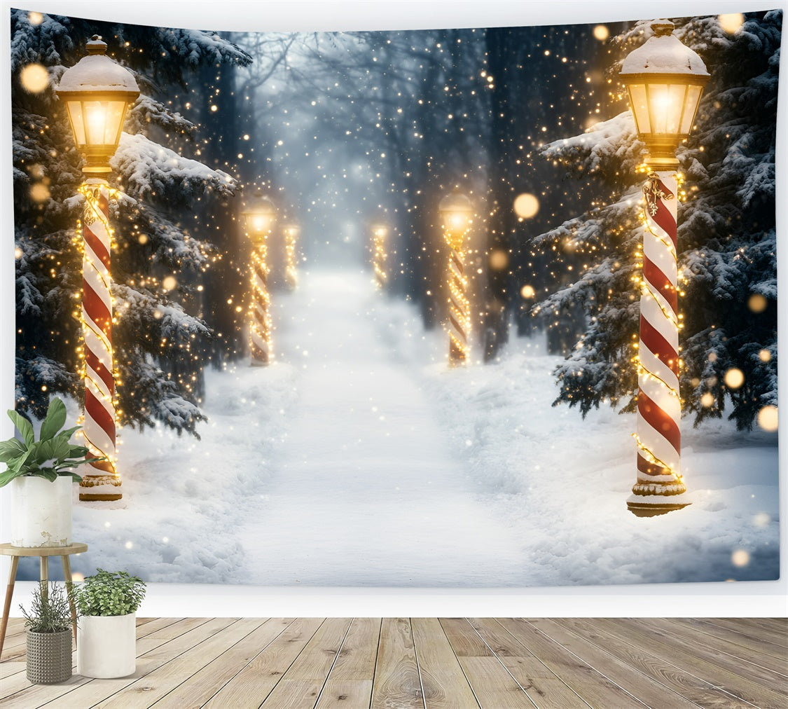 Toile de fond Photo Forêt Neige Magie Fête GQ57-73