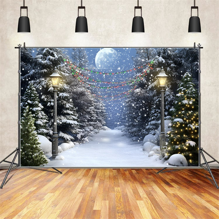 Toile de fond Forêt Nuit Pleine Lune Sentier Hiver GQ57-74