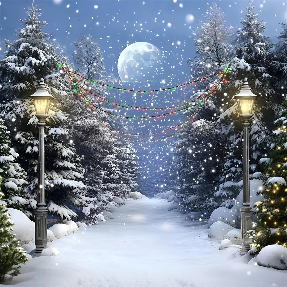 Toile de fond Forêt Nuit Pleine Lune Sentier Hiver GQ57-74