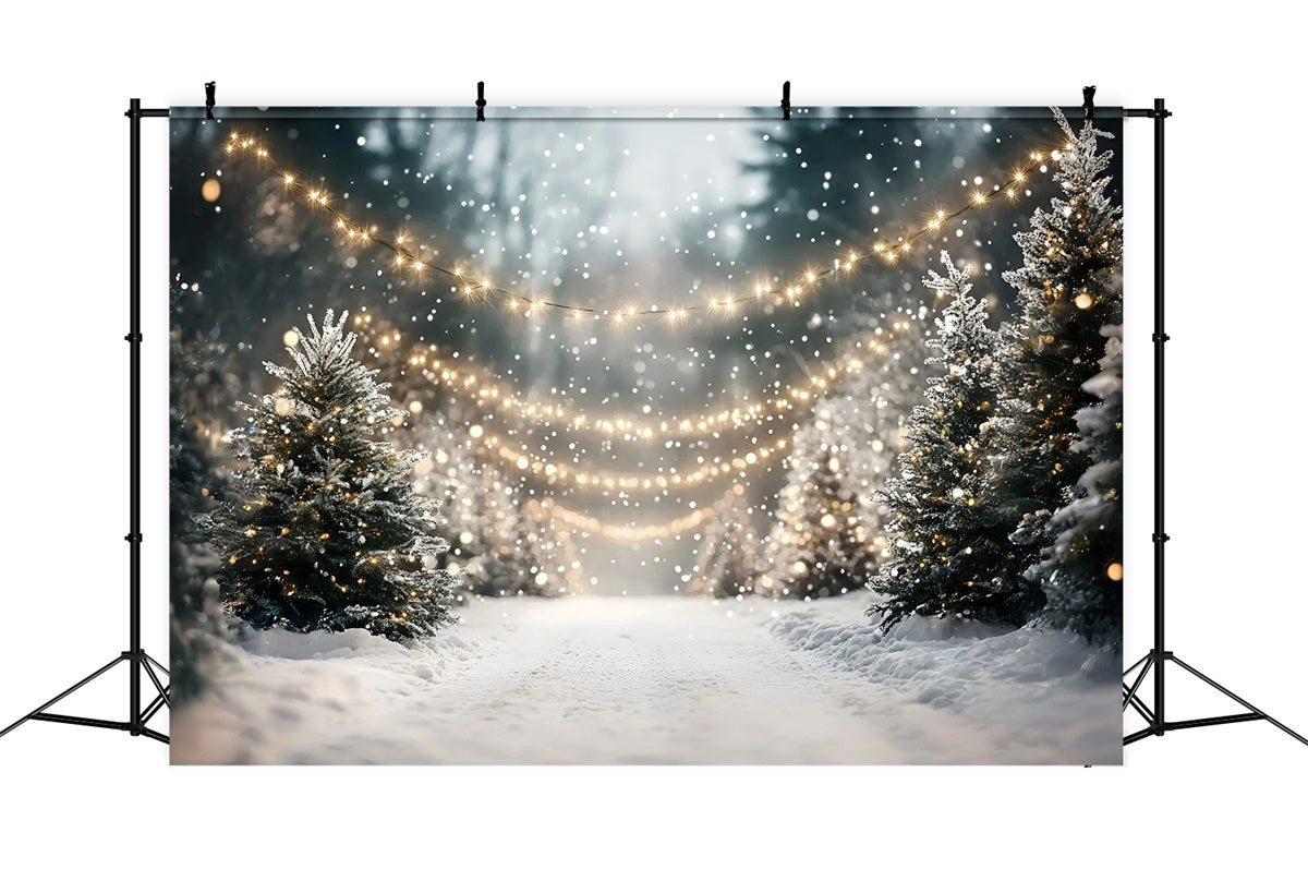 Toile de fond Photo Forêt Noël Sentier Givré Festif GQ57-85