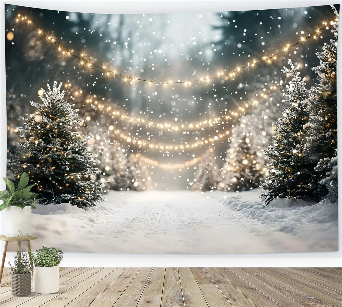Toile de fond Photo Forêt Noël Sentier Givré Festif GQ57-85