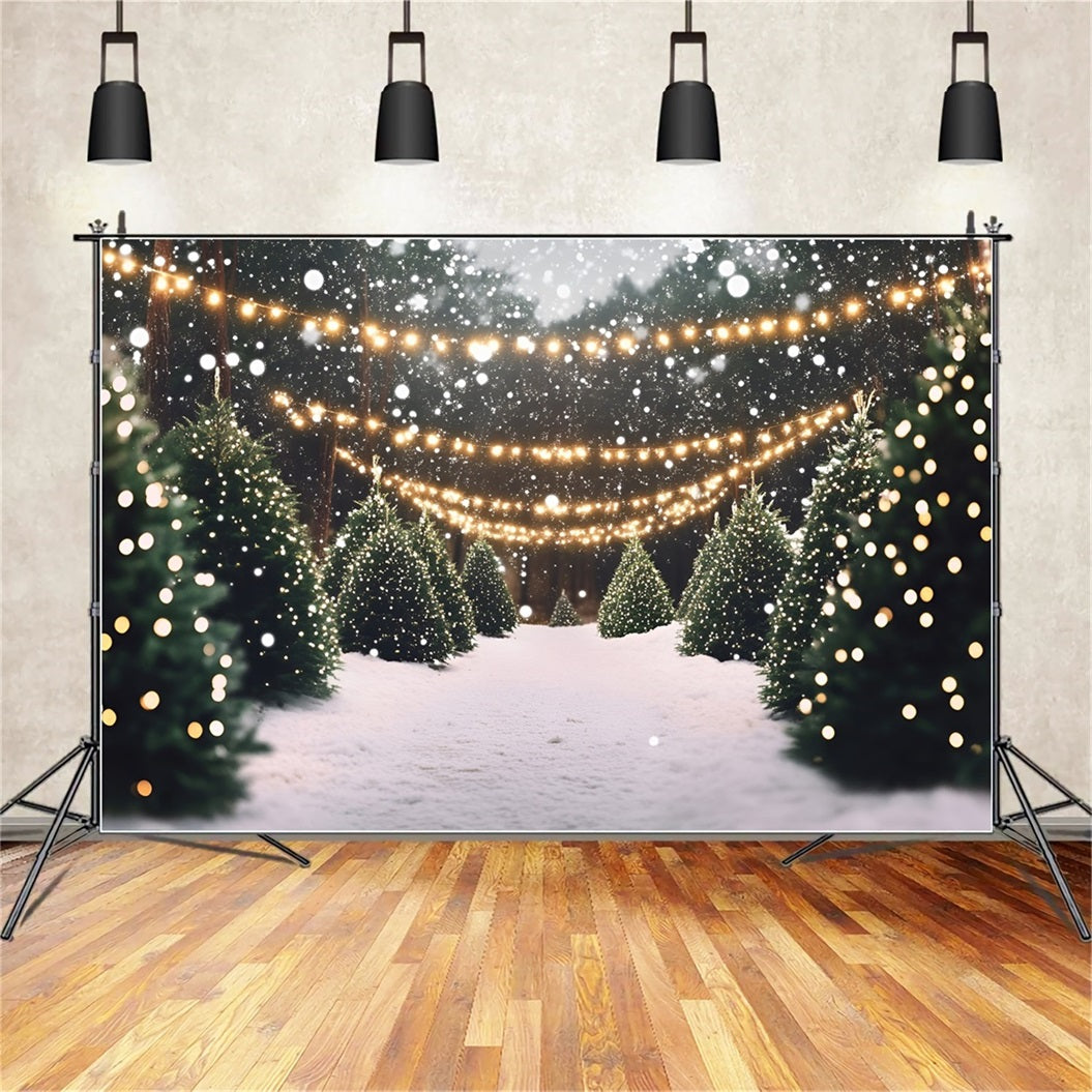 Toile de fond Noël Allée de Pins Enneigée et Lumières GQ58-48