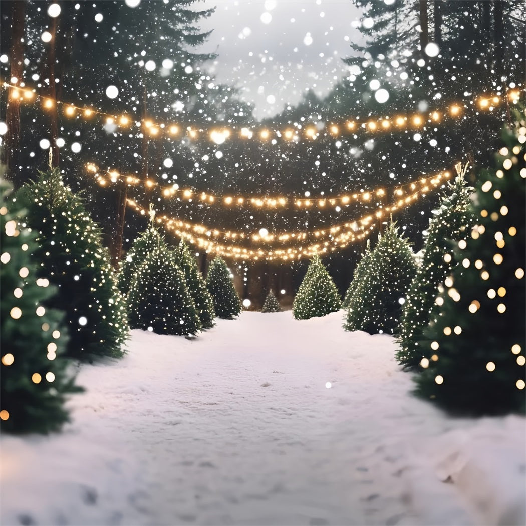 Toile de fond Noël Allée de Pins Enneigée et Lumières GQ58-48