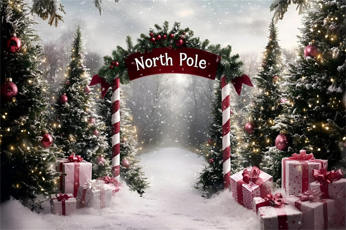 Toile de fond Noël Sentier Sucre d’Orge au Pôle Nord GQ58-51