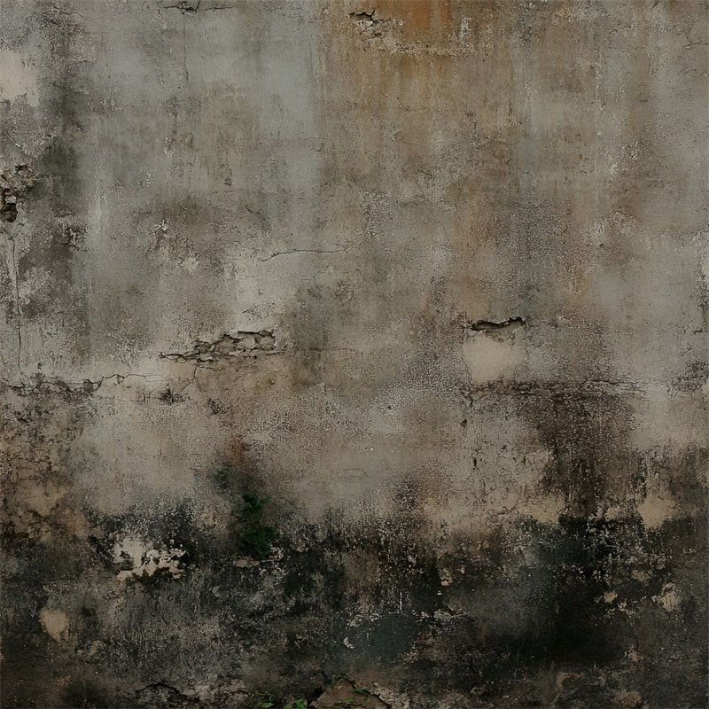 Fond Pour Photo Portrait Mur Brun Et Gris Vieilli Base De Mousse GQ58-58