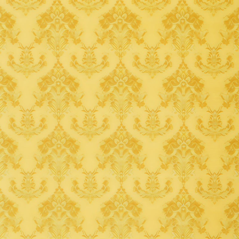 Fond Portrait Photo Motif Damassé Floral Baroque Élégant GQ58-74