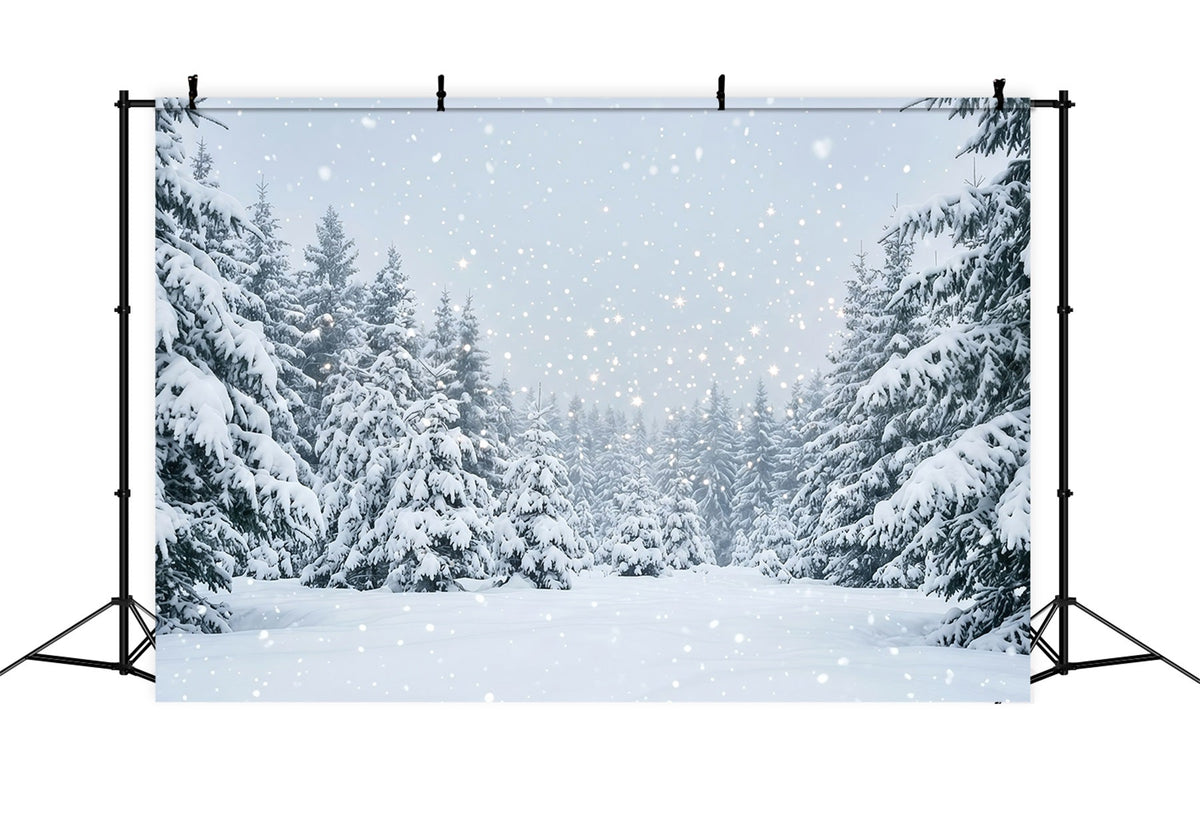 Fond De Sapins De Noël Forêt De Sapins Enneigés GQ610-111