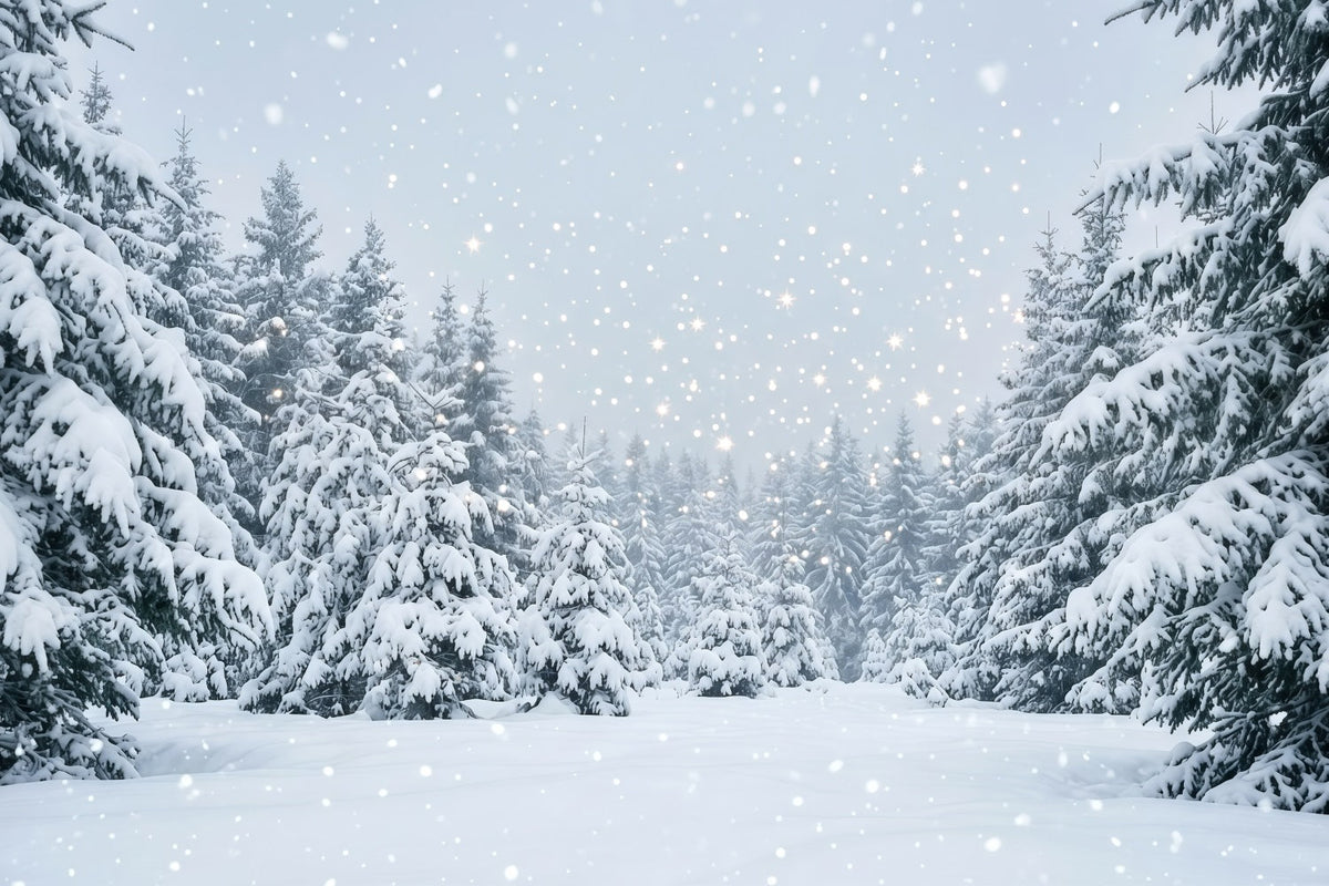 Fond De Sapins De Noël Forêt De Sapins Enneigés GQ610-111