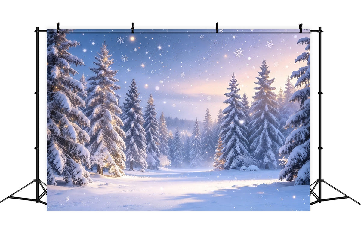 Fond De Sapins De Noël Forêt Enneigée Crépuscule GQ610-42