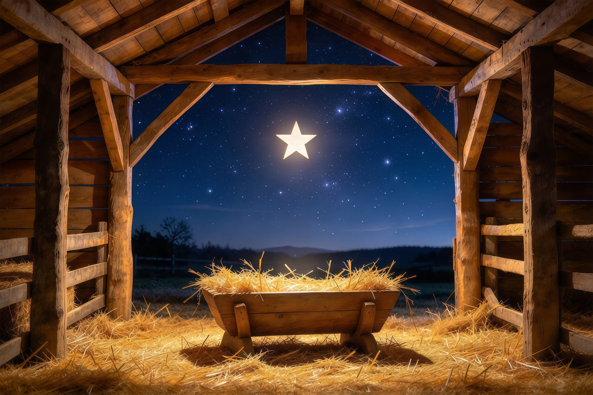 Fond De Crèche De Noël Nuit Étoilée Étable Mangeoire GQ610-61