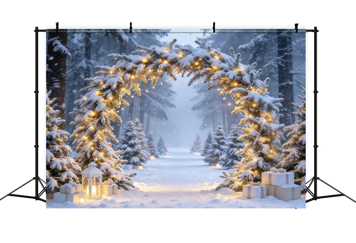 Fond Photo De Noël Arche Sapins Illuminés Enneigés Pays Hivernal GQ610-69