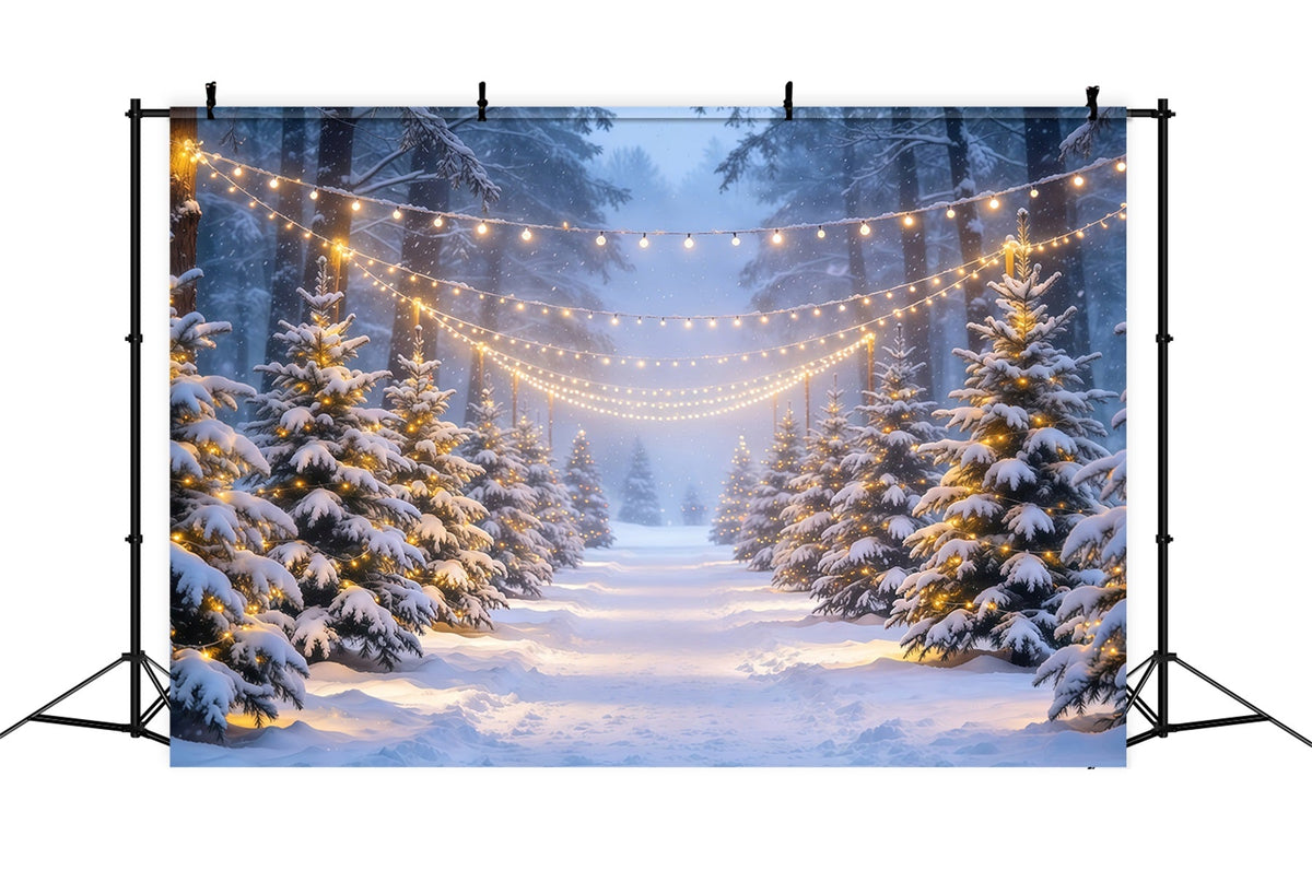 Fond De Forêt De Sapins De Noël Forêt Enneigée Lumières Éclatantes GQ610-80