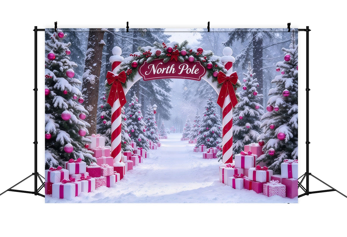 Fond Photo Pôle Nord Entrée Cadeaux Roses Bonbons Sucre GQ610-90