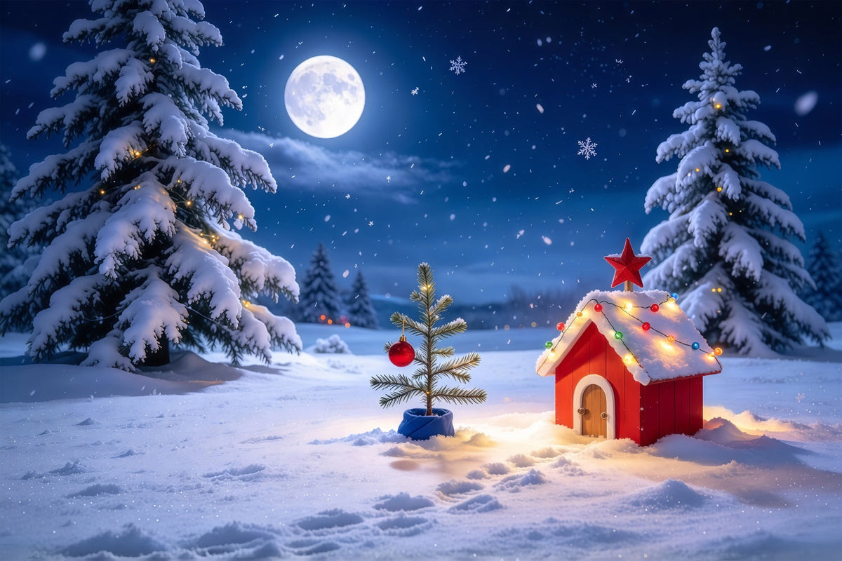 Fond De Noël Cottage Enneigé Au Clair De Lune GQ69-73