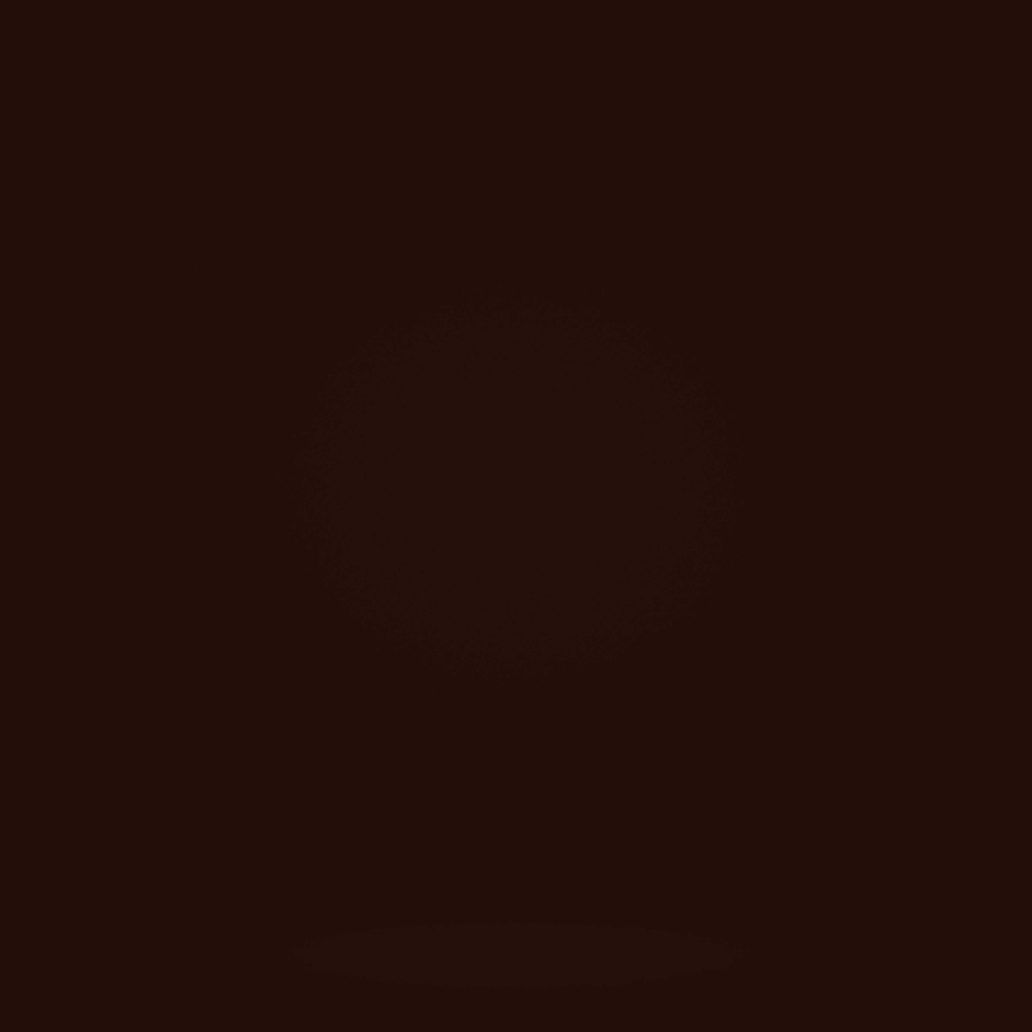 Toile de Fond Portrait Marron Chocolat Classique GTY2-127