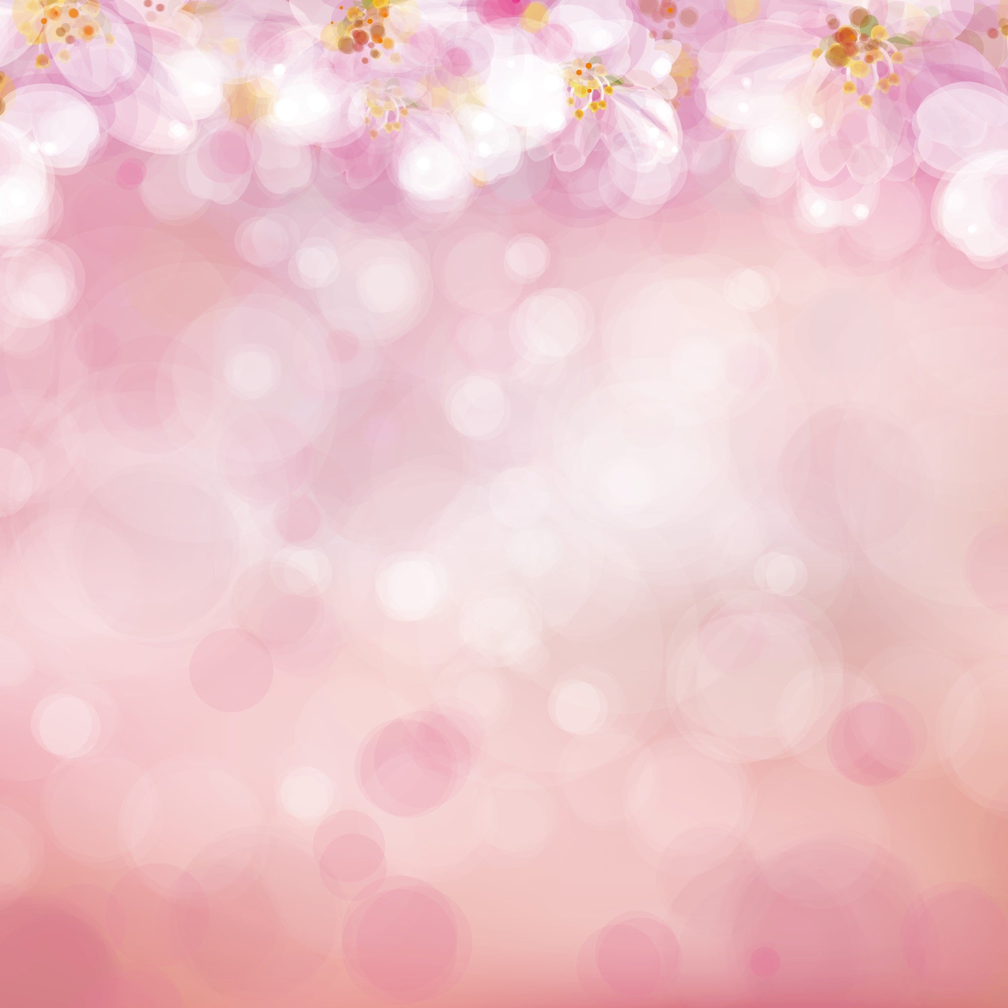 Toile de Fond Photographie Rose Bokeh Floral Portrait GTY2-136
