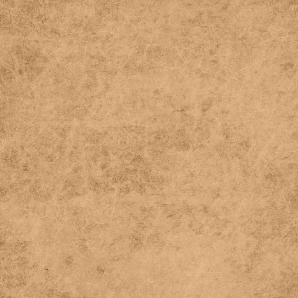 Toile de Fond Photographie Portrait Marron Vieilli Texturé GTY2-152