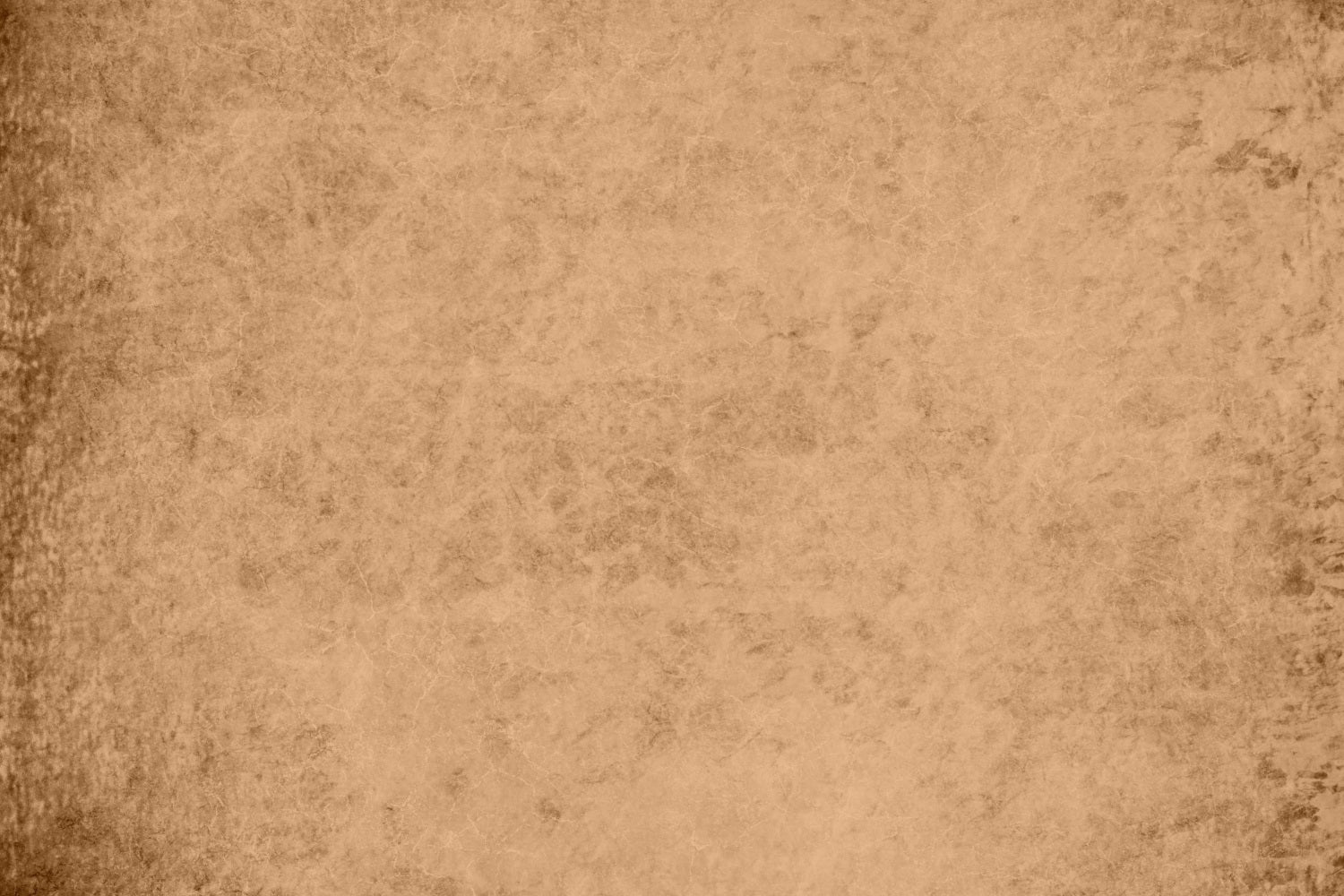 Toile de Fond Photographie Portrait Marron Vieilli Texturé GTY2-152