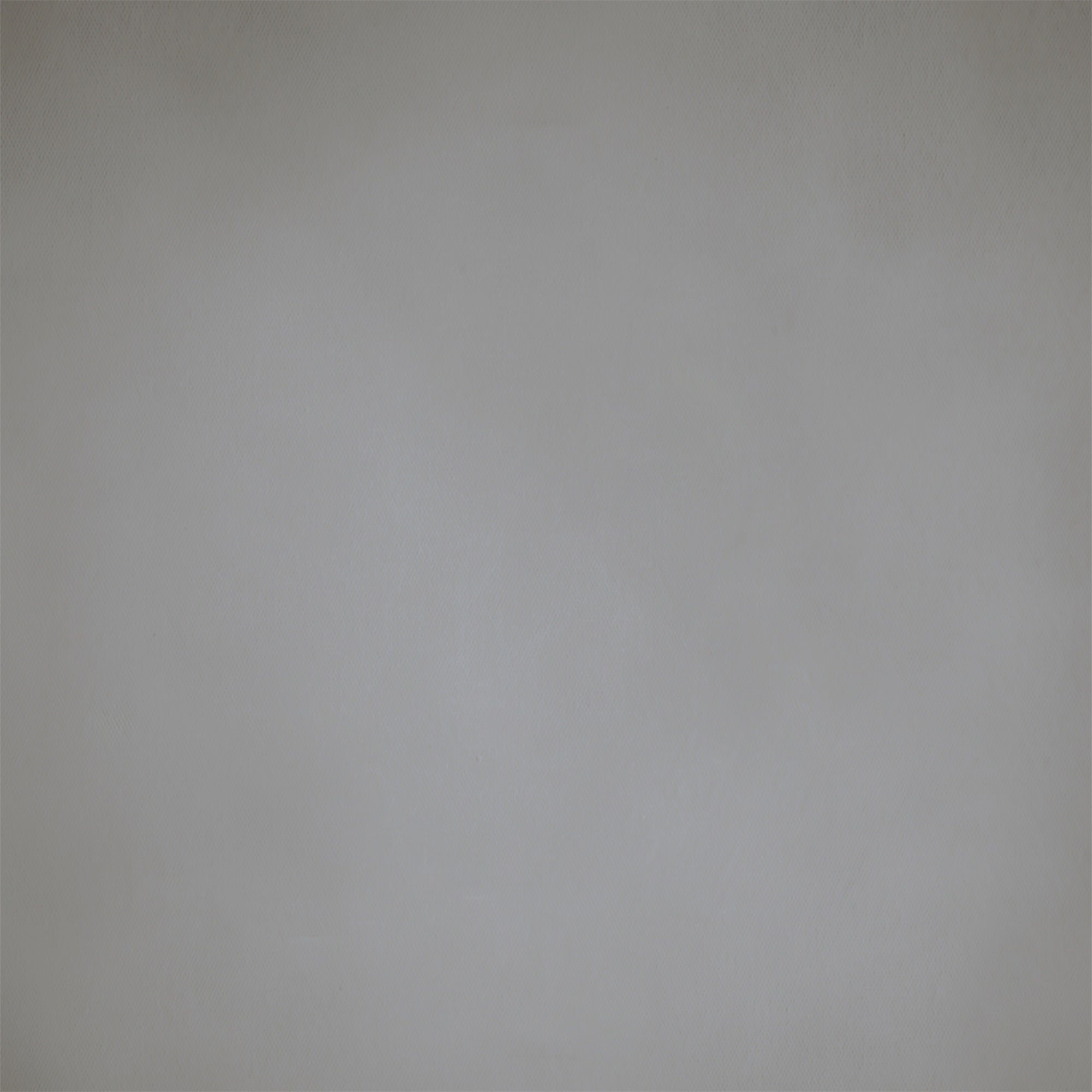Toile de fond Gris Ombre Claire GTY2-166