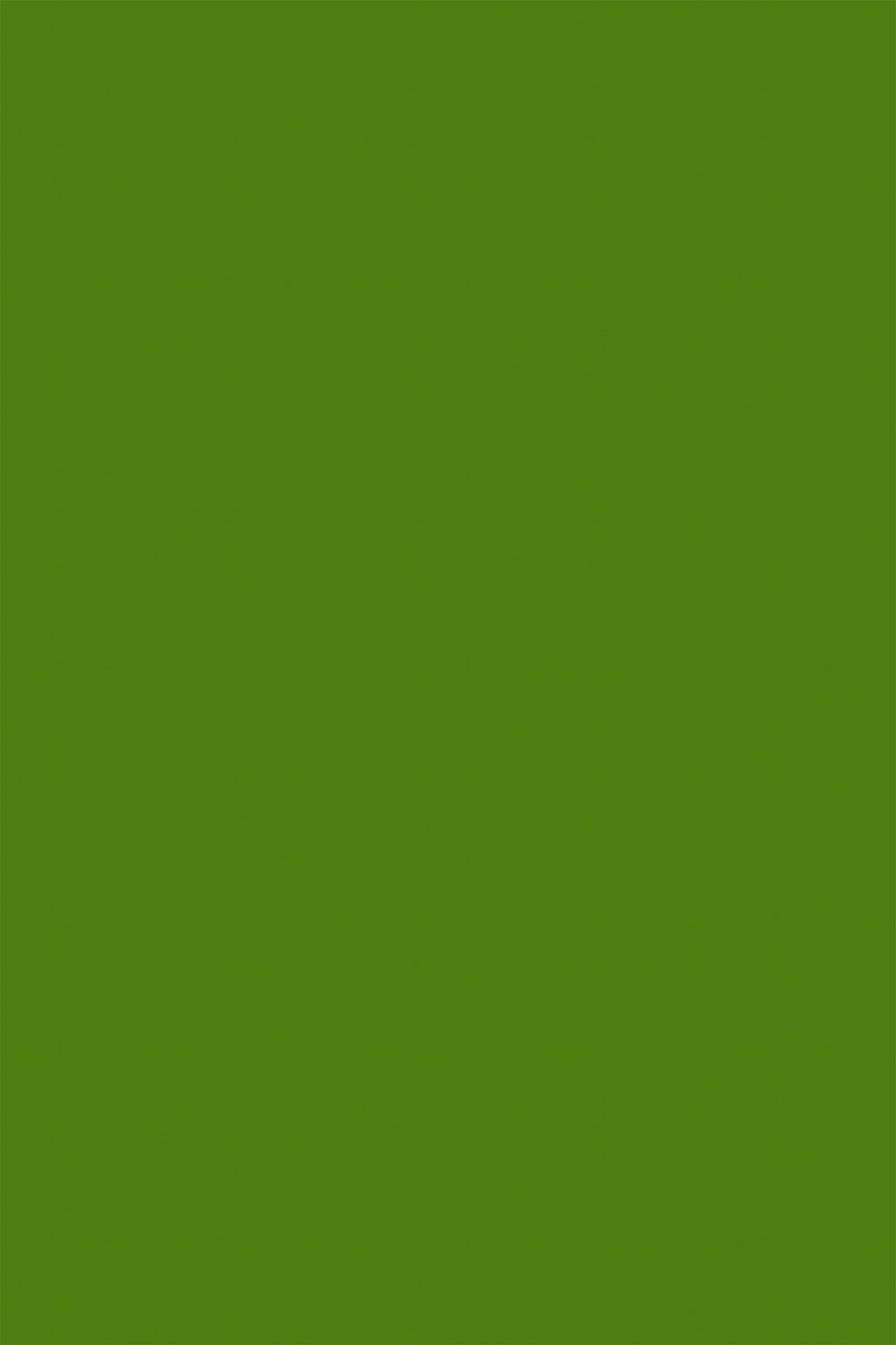 Toile de fond Vert Pin Vintage GTY2-177