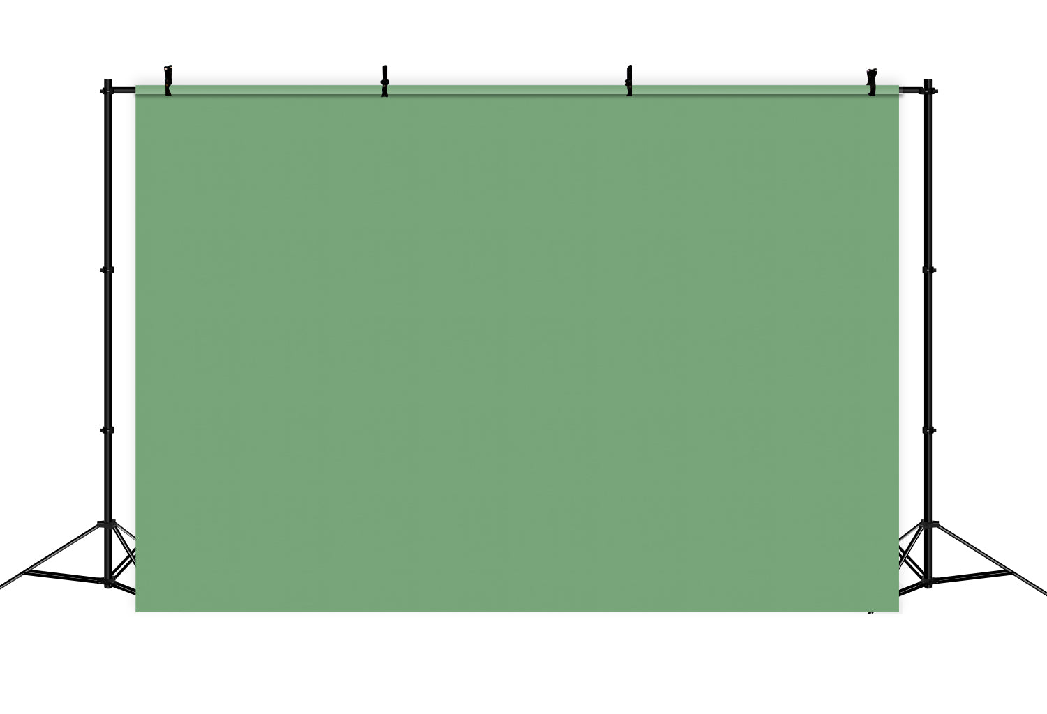 Toile de fond Vert Prairie Fraîche GTY2-181